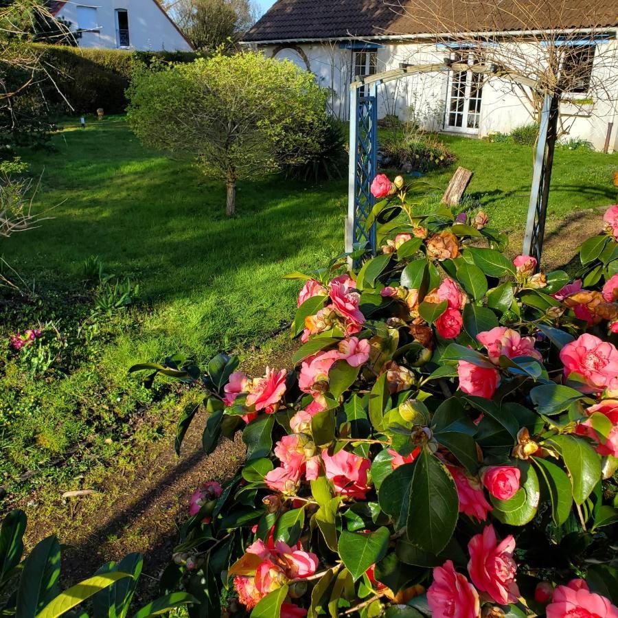 Maison Au Calme Avec Jardin Pres Du Chateau, Foret Et Plage Condette Exterior foto